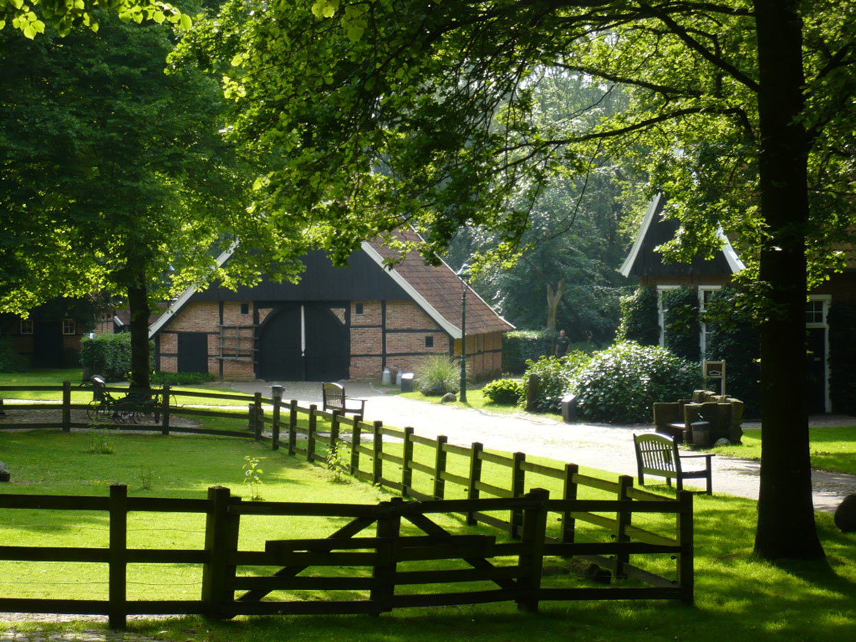 Omgeving
